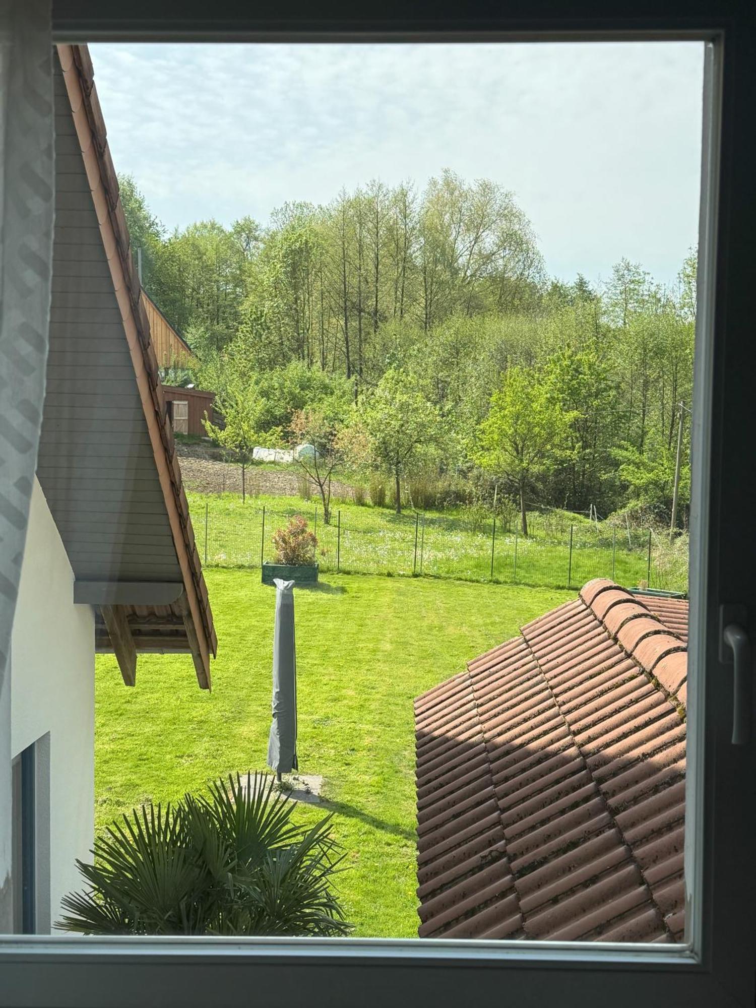 Urlaub Im Naturschutzgebiet Detmold Exterior foto