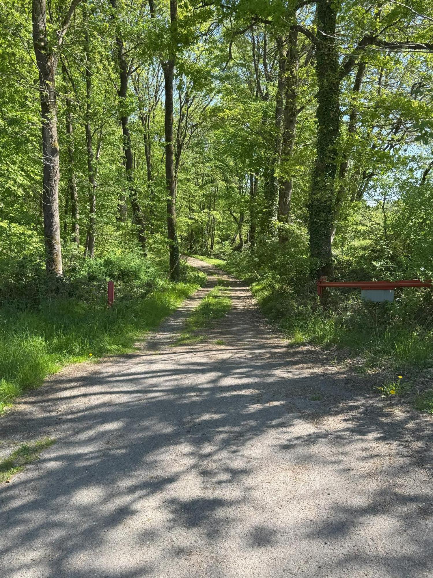 Urlaub Im Naturschutzgebiet Detmold Exterior foto